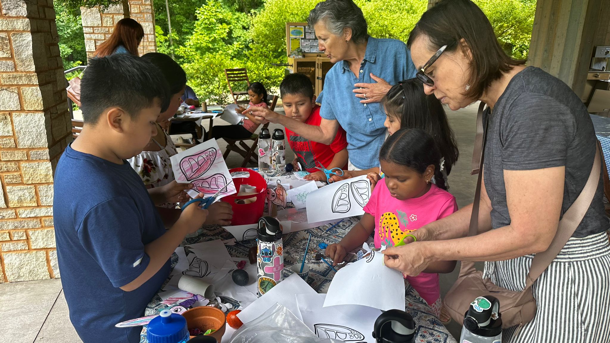 activity-volunteer